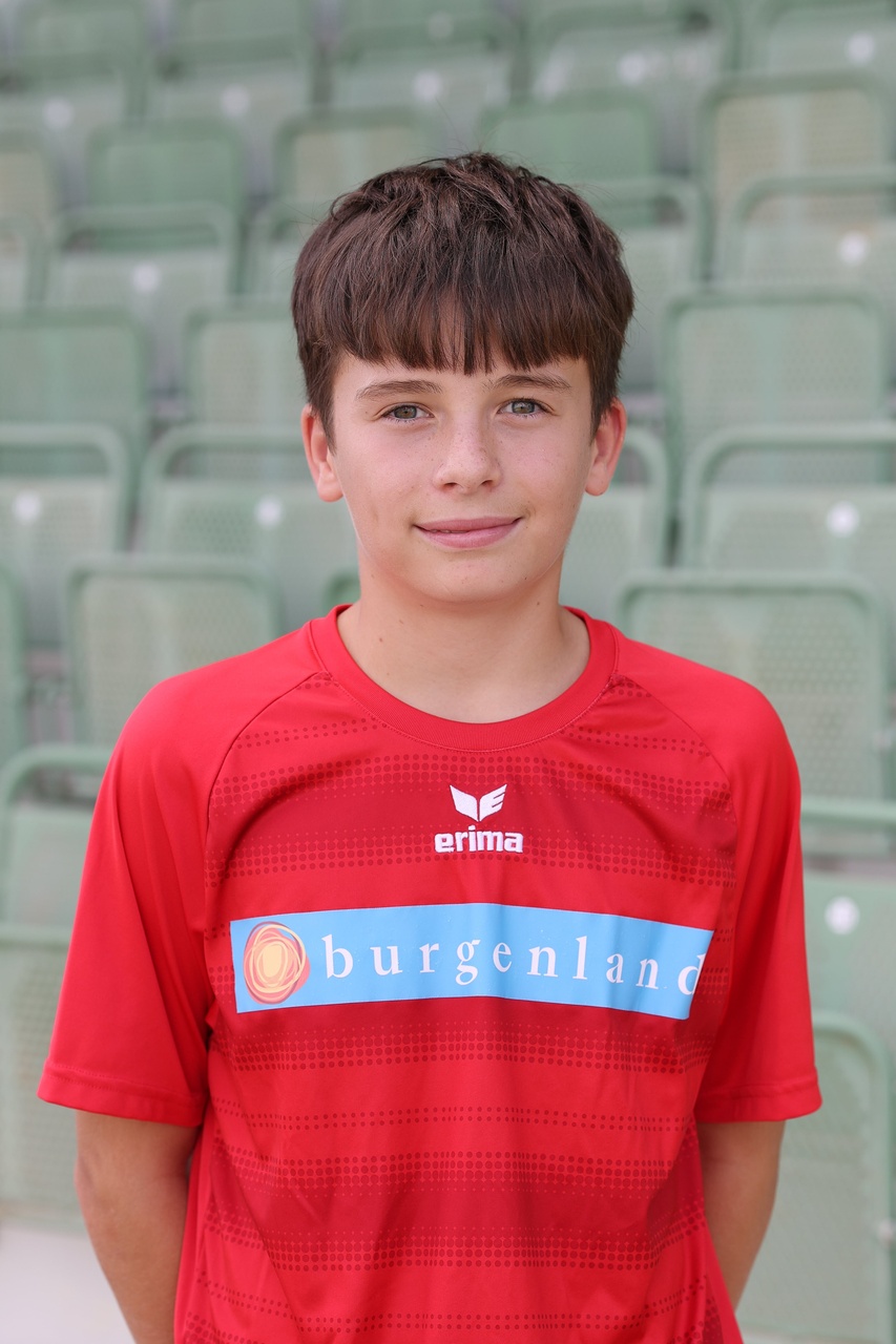 DANIEL JANITSCH