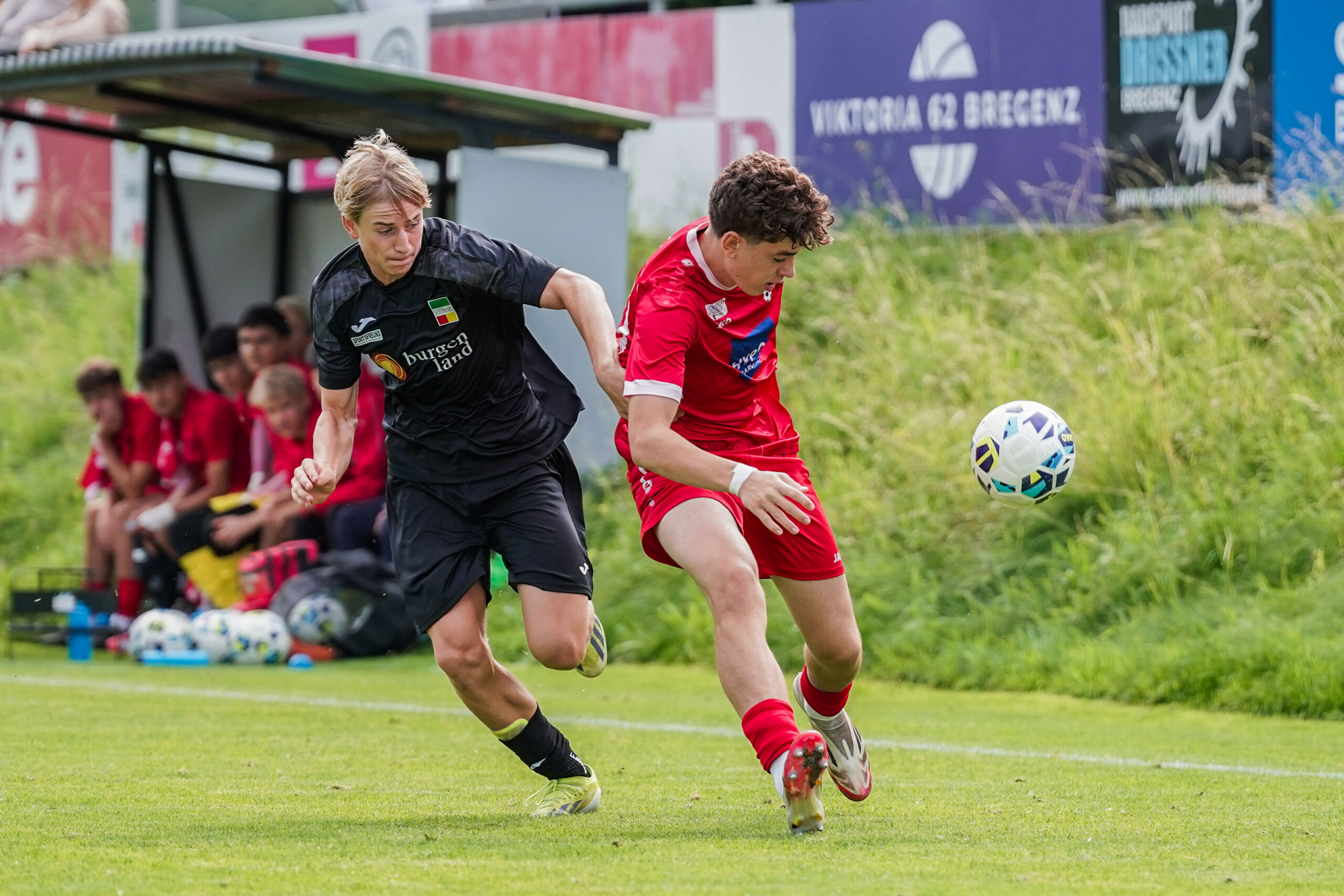 Fotoquelle: KOLANOVIC