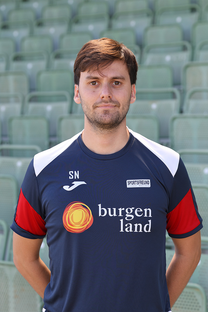 Nemanja Stanisavljevic